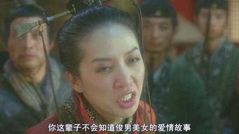 钟无艳演员表,古装传奇，群星荟萃的演员阵容揭秘