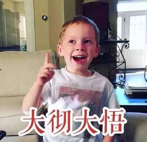 网红表情包兄妹