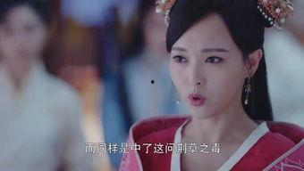 晓凤娱乐网,揭秘娱乐圈最新动态，带你领略明星风采